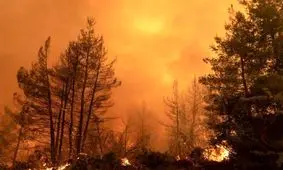 عامل ۱۰ درصد سرطان ها چیست؟