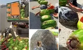 کشف ١٠۶ کیلوگرم تریاک جاسازی شده در بار هندوانه در این شهر