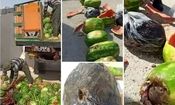 کشف ١٠۶ کیلوگرم تریاک جاسازی شده در بار هندوانه در این شهر