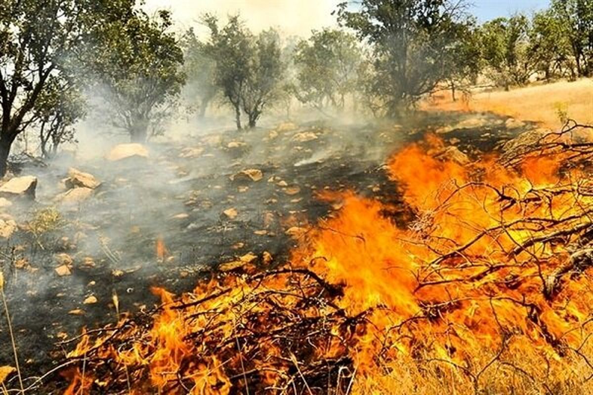وقوع ۵۰ مورد آتش سوزی در جنگلها و مراتع آذربایجان غربی