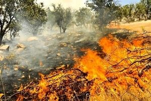 وقوع ۵۰ مورد آتش سوزی در جنگلها و مراتع آذربایجان غربی