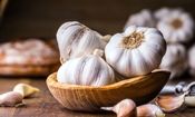 سلاح مخفی شما در برابر سرماخوردگی