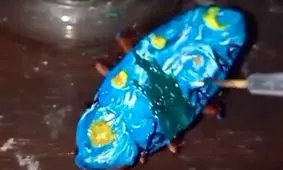 نقاشی روی بدن سوسک‌ ها/ ویدئو