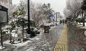 بارش برف و باران پراکنده در برخی استان ها/ کاهش دما تا ۱۰ درجه در شمال کشور