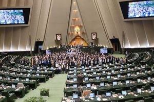 عکس دسته جمعی در مجلس/ سلام نظامی آقای نماینده