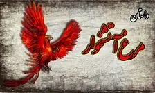 داستان مرغ آتشخوار از مرزبان نامه/ حکایت پند آموز ندیم پادشاه هندی که دنبال مرغ آتشخوار بود 