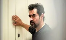 سریالی که رگ خواب مخاطب را می‌داند