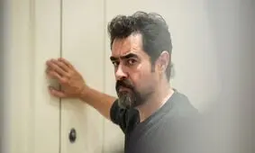 سریالی که رگ خواب مخاطب را می‌داند