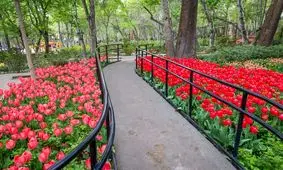 هلند کوچک تهران کجاست؟