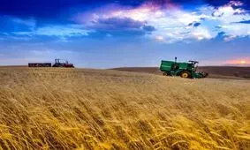گندم می‌تواند به بورس کالا برگردد

