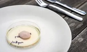دانشمندان ژنوم قارچ‌ را برای تولید گوشت هک کردند

