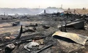 تلف شدن تمام دام‌های یک دامداری درپی آتش‌سوزی