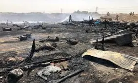 تلف شدن تمام دام‌های یک دامداری درپی آتش‌سوزی