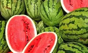 ذوق یک هندوانه‌ فروش در دبی از کیفیت هندوانه‌ های صادراتی ایران/ ویدئو