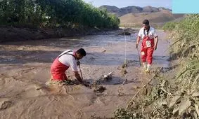 کشف جسد زن بلعیده شده درسیل جاده چالوس/ 10 روز تجسس خاتمه یافت