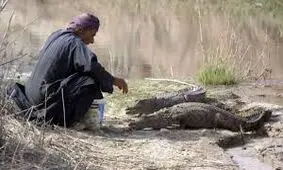تماس گردشگران با گاندوهای چابهار جنجالی شد/ ویدئو