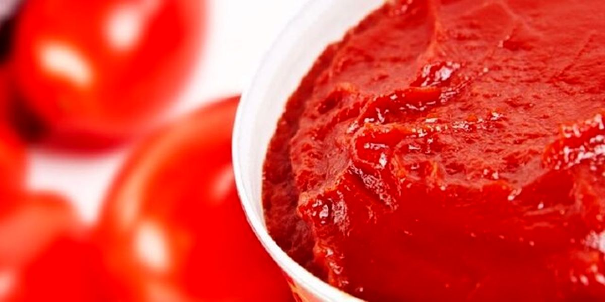 قیمت رب گوجه همچنان بر مدار صعود