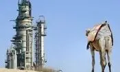 صادرات نفت عربستان صفر می‌شود؟