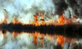 آتش سوزی در تالاب انزلی/ ویدئو