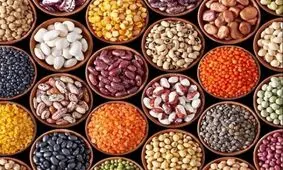 لوبیا چیتی در یک سال ۲۵۰ درصد گران شد/ راز شکاف ۳ برابری قیمتی چیست؟