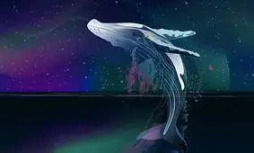 نهنگ های ارز دیجیتال چه کسانی هستند؟