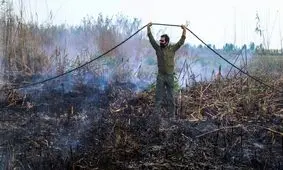 وقوع آتش سوزی با منشاء نامشخص در تالاب شادگان