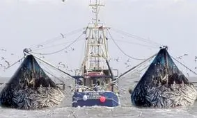 چینی ها کف‌ دریای عمان را همچنان جارو می کنند یا متوقف کرده اند؟