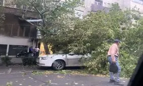 توصیه‌های پلیس درباره ورزش باد و طوفان در تهران/ در محل‌های ناامن توقف نکنید