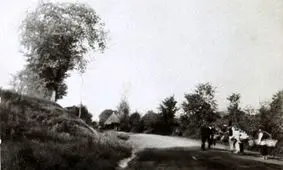 مردی که اولین بار در ایران «چای» کاشت