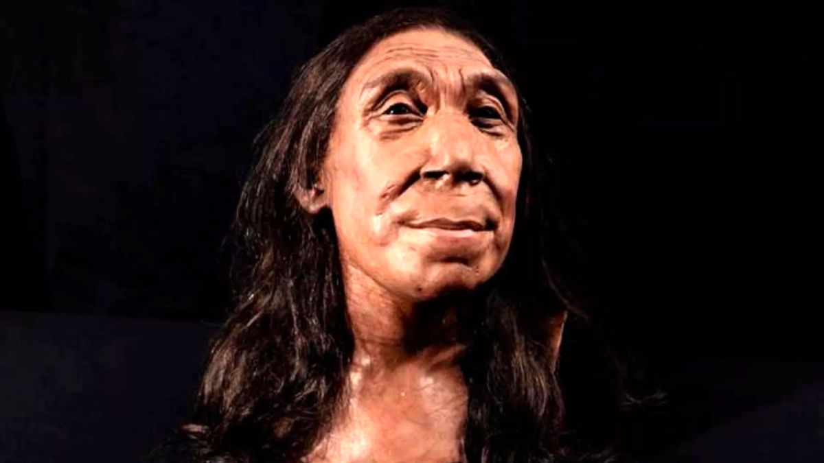 محققان چهره یک زن نئاندرتال زاگرسی که 75 هزار سال پیش می‌زیسته را بازسازی کردند