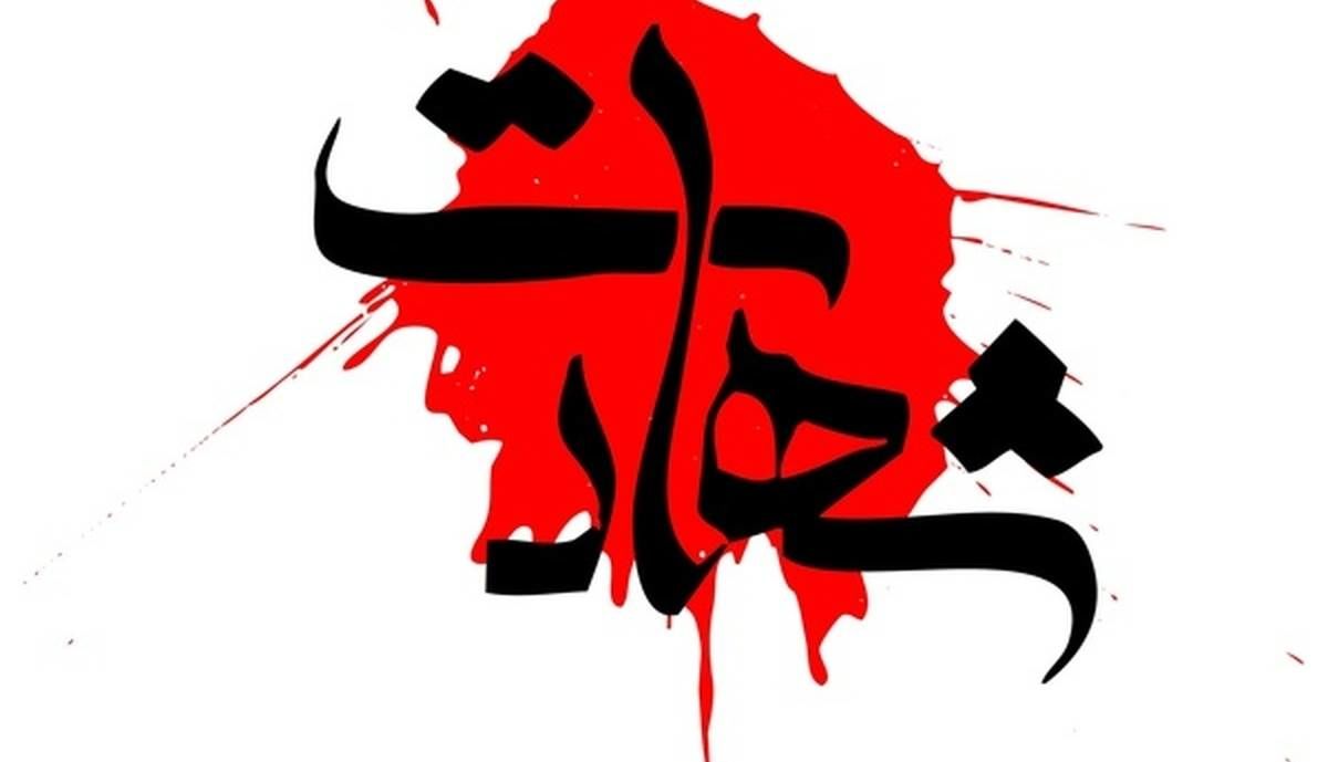عامل شهادت مدافع امنیت در بافت به هلاکت رسید