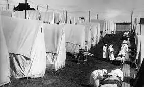 از تیفوس تا کرونا؛ بیماری‌های مرگبار در ایران