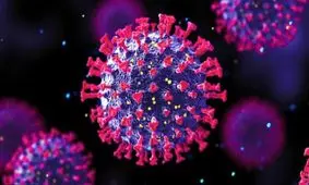 منشأ "اُمیکرون" حیوان است یا انسان؟