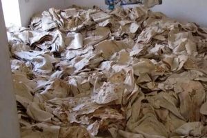 کشفِ باورنکردنی ۵ تُن نانِ خشک در یک خانه در کرمانشاه

