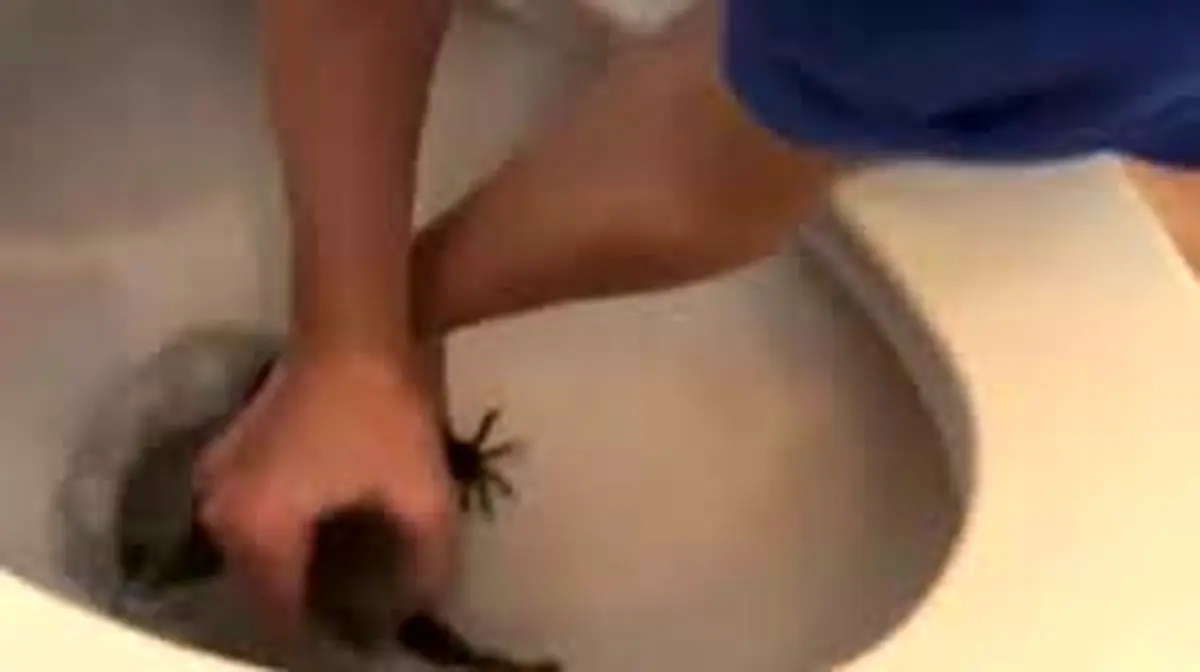 غافلگیری ترسناک یک کودک در چاه توالت/ ویدئو