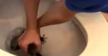 غافلگیری ترسناک یک کودک در چاه توالت/ ویدئو