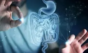 ترمیم خودکار روده با یک اسید آمینه طبیعی

