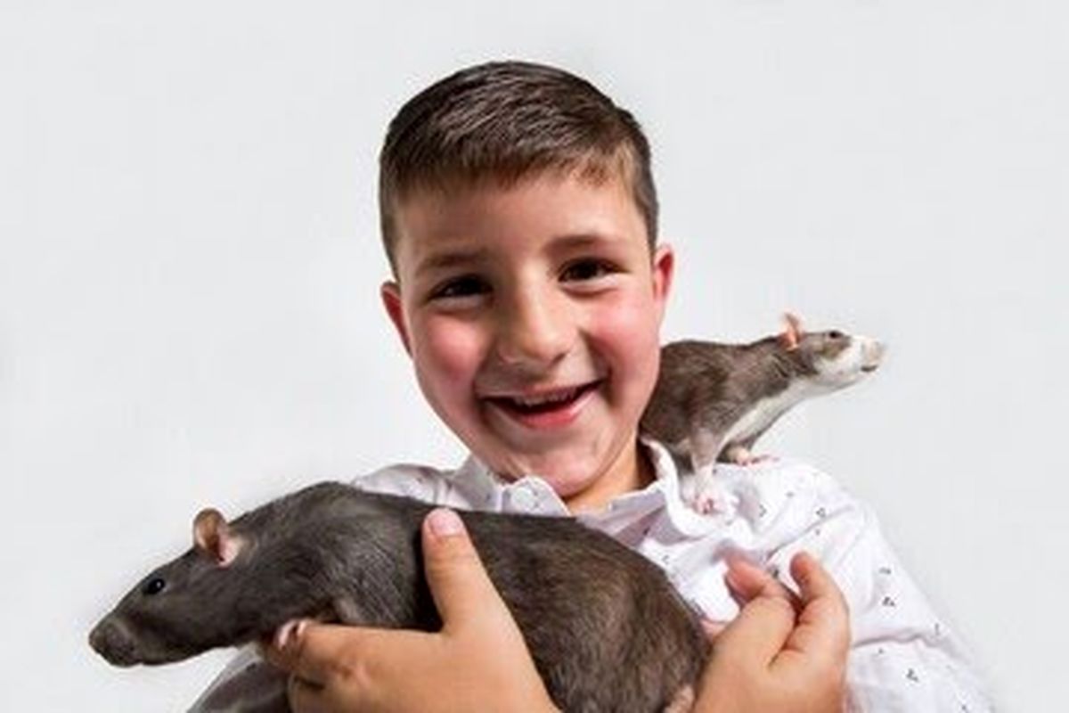 پیر نشدن با انتقال ژن موش‌های کمیاب آفریقایی به انسان!