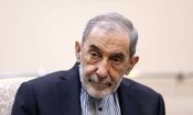 ولایتی: چین نشان داد که با صبر و متانت در حال خاموش کردن صدای پای ترامپ است/ کاری که ترامپ در این زمان می‌کند، پیشتر هیتلر انجام داده است