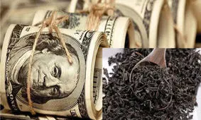 هشدار به مسئولان درباره فساد چای دبش: صریح با مردم حرف بزنید؛ سرمایه اجتماعی از دست رفته با انداختن تقصیر به گردن دیگران التیام پیدا نمی‌کند