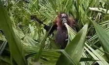 عکس‌های شگفت‌انگیز طبیعت که برندۀ جایزه عکاسی شدند 