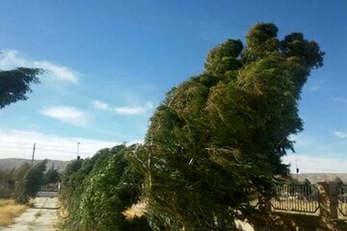 تداوم وزش باد در خراسان جنوبی و هشدار هواشناسی