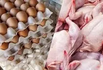 سقوط آزاد مصرف مرغ و تخم‌مرغ در کشور