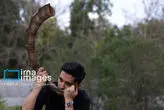 172879679_MAS12044