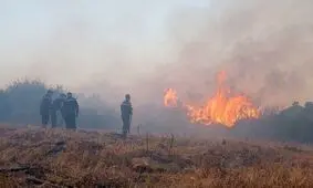 آتش‌سوزی‌های گسترده در الجزایر ۱۲ کشته برجا گذاشت