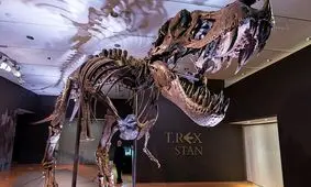 خریدار مرموز گران‌ ترین فسیل جهان فاش شد/ دایناسور ۶ تُنی از خلیج فارس سر درآورد