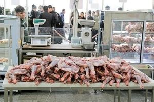 قیمت گوشت واقعا چقدر است؟