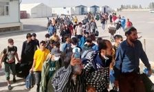 طرح ضربتی جمع آوری اتباع غیر مجاز در دامغان
