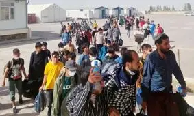 اخلاقی امیری: هنوز دو تا سه میلیون اتباع غیرمجاز در کشور داریم/ ویدئو