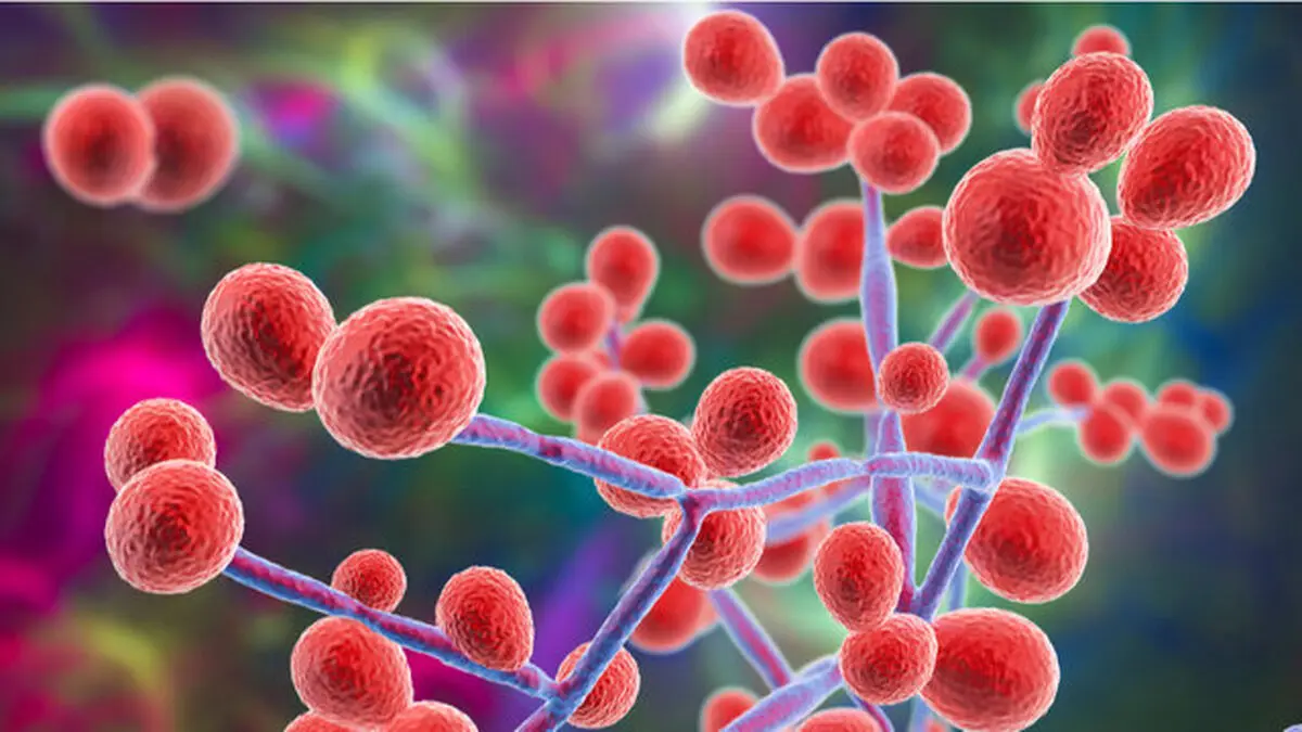 باورهای غلط درباره عفونت های زنان